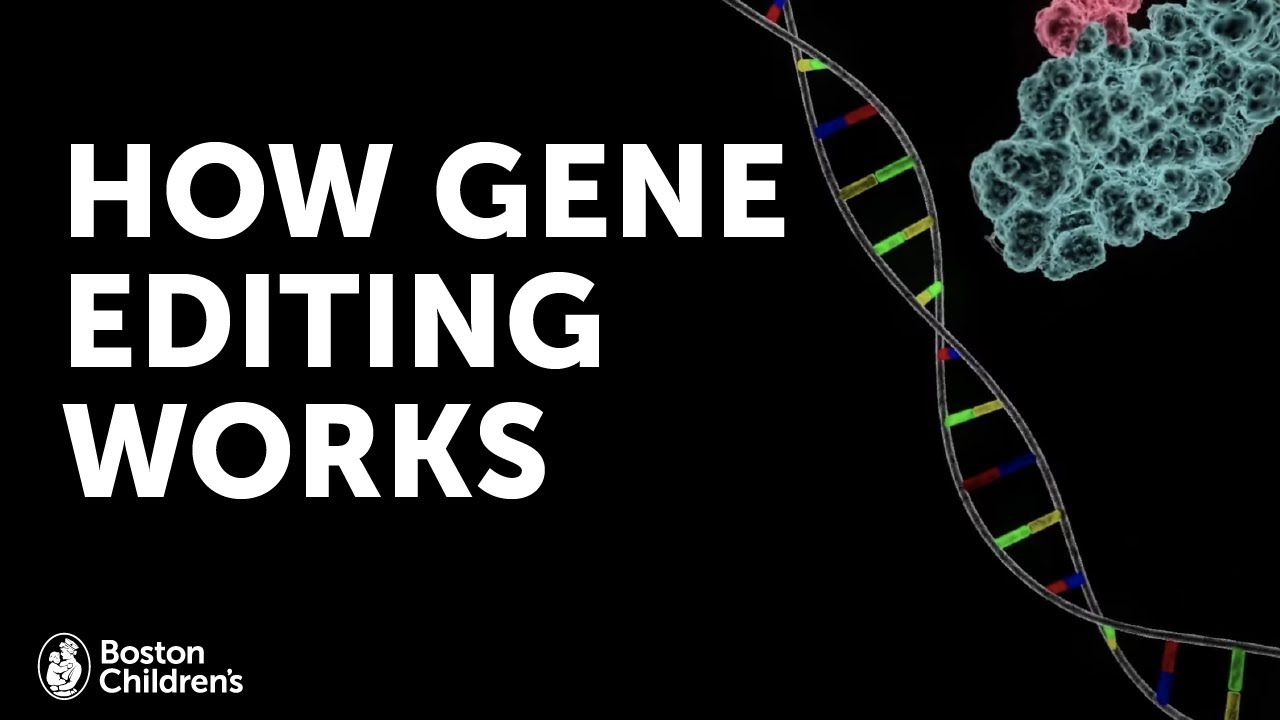 How Gene Editing Works | Boston Children&rsquo;s Hospital