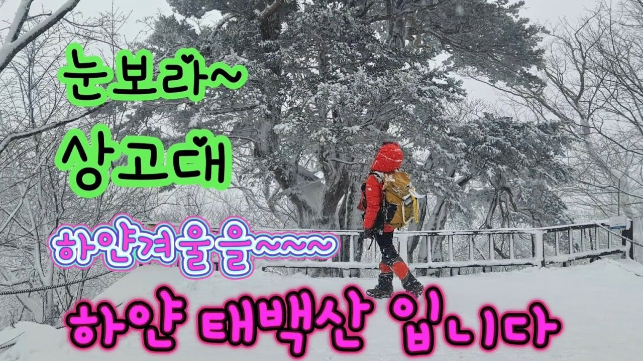 #겨울등산 #태백산  #눈산행 #상고대