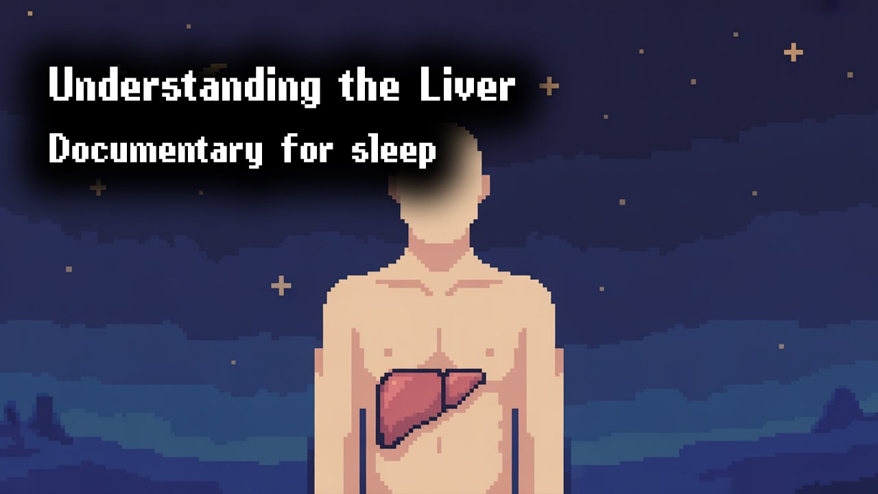 The Human Liver Explained | Documentary for Sleep