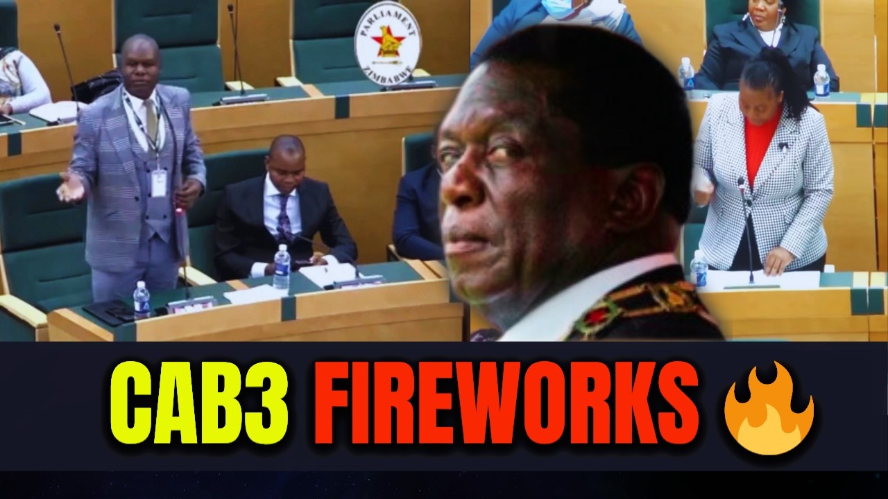 🎴Parliament on FIRE 🔥 Hon. Johanna Mamombe & Hon. Muneri SHUT DOWN Mudenda & Ziyambi Ziyambi!