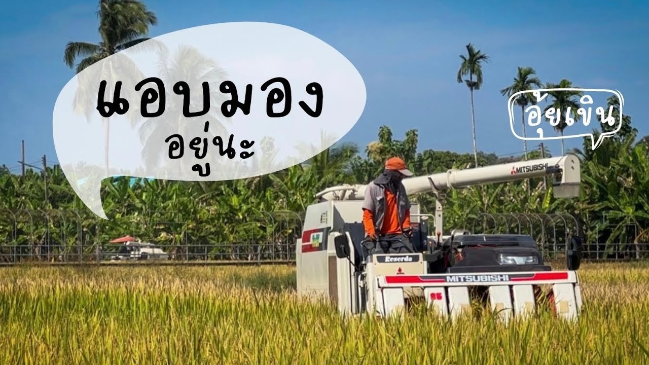 รีวิว | Mitsubishi VR85 เช็คพร้อมใช้ ส่งฟรี รถเกี่ยวข้าว นวดคอรวง เก่าญี่ปุ่น