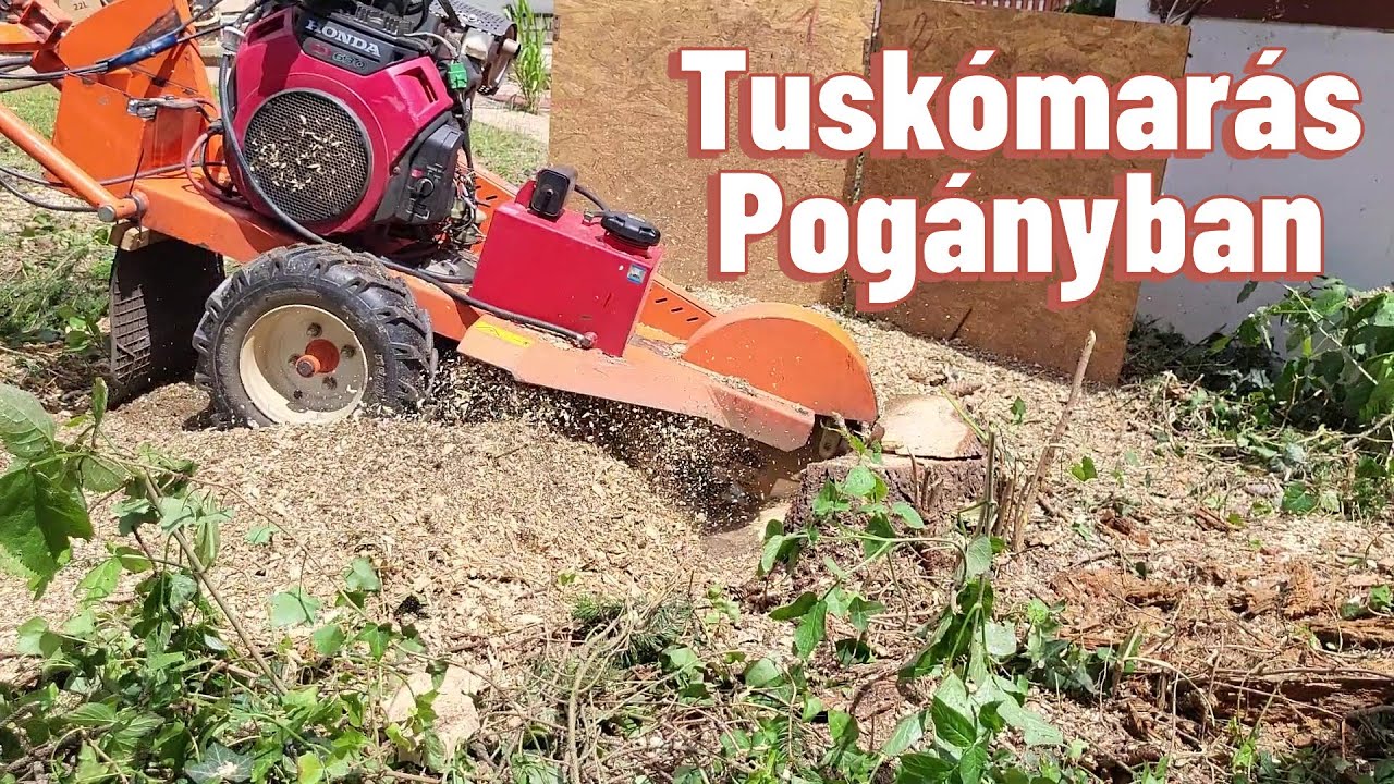 Tuskómarás Pogányban