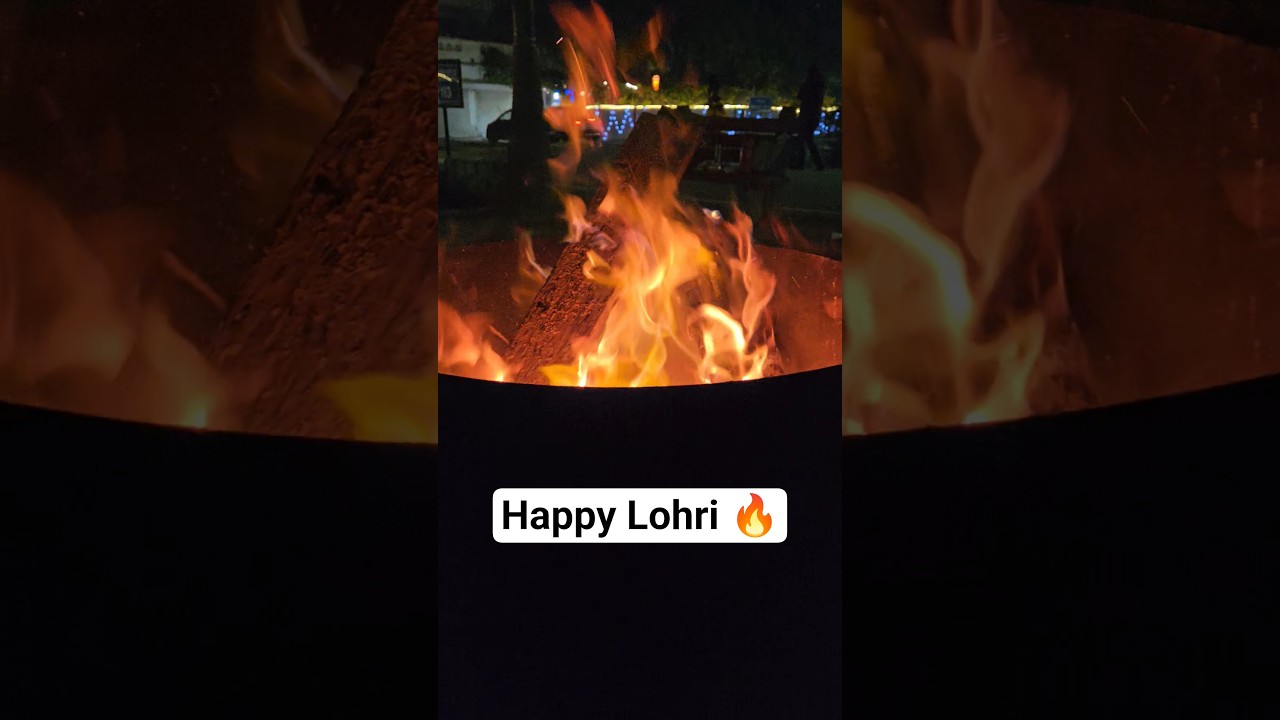 Lohri vibes only ✨🔥| Bonfire nights & Lohri lights | 