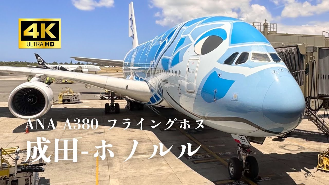【4K機窓】成田 → ホノルル｜ANA A380 フライングホヌ 着陸✈️🌺