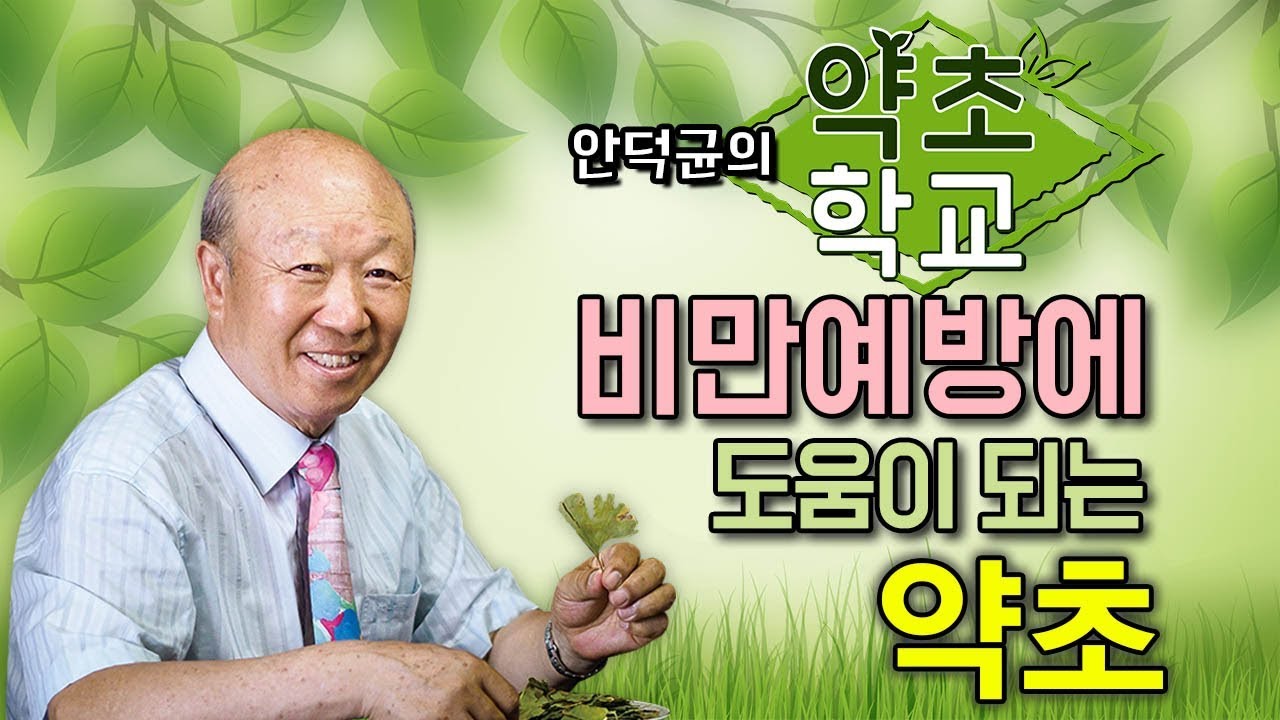 (한글자막) 비만예방에 도움이 되는 약초(양파, 양배추, 산사나무열매, 녹차잎, 마황)  [안덕균의 약초학교 EP.10]