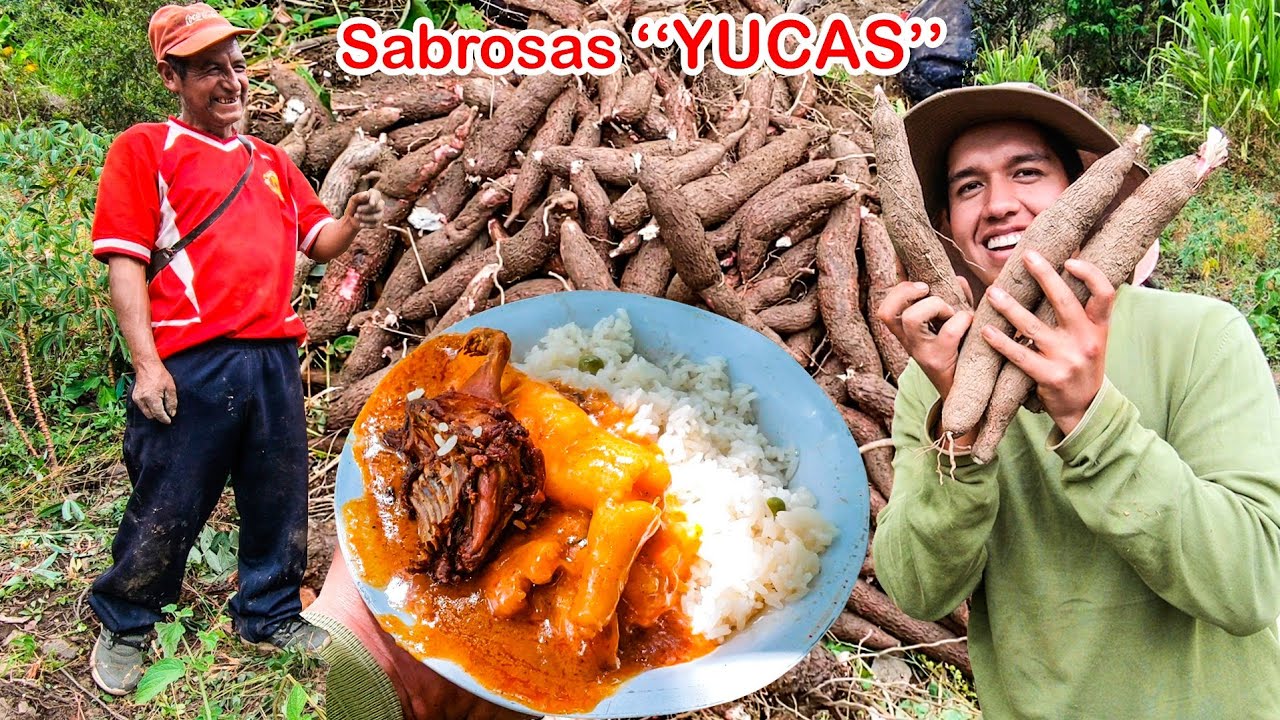 Cosechamos SABROSAS YUCAS en MI PUEBLO y almorzamos DELICIOSO PICANTE DE CUY | Jordy Aventurero