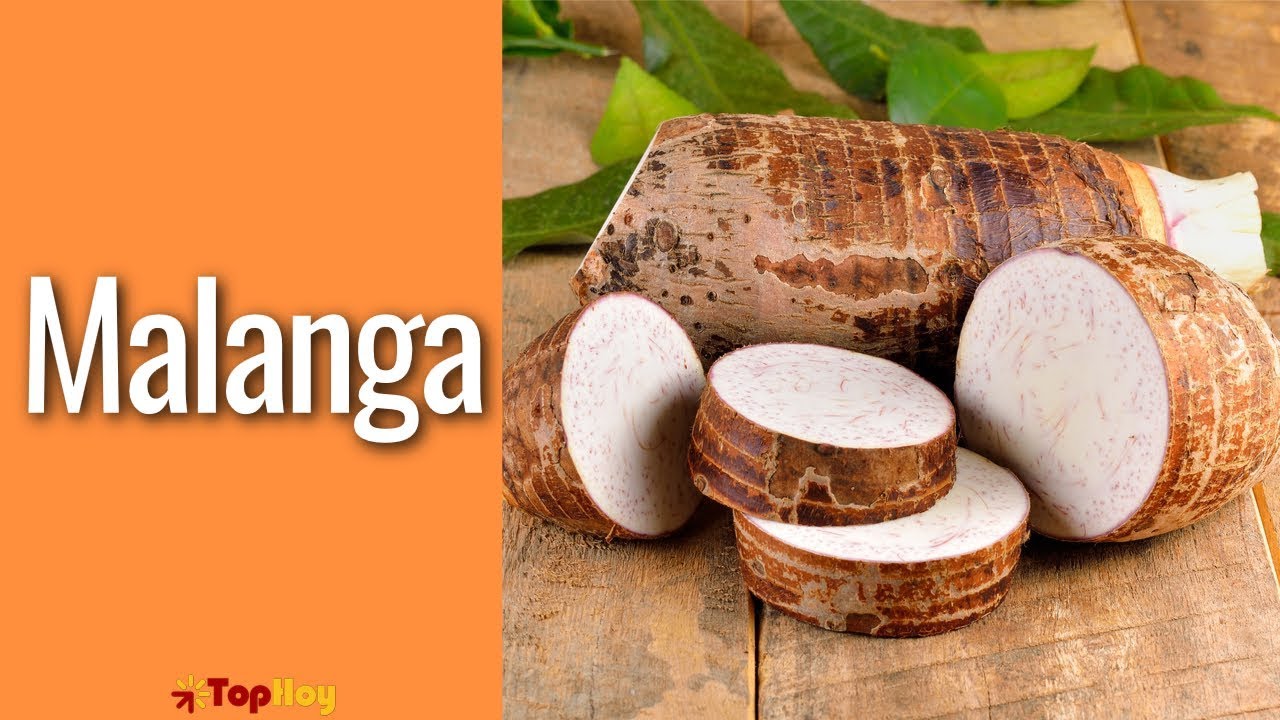 💪 5 BENEFITS of MALANGA (TARO)
