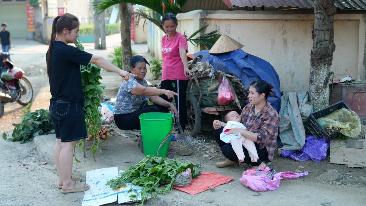 Ly Thi Ly harvests young green squash shoots on the rocky hill to sell. - Cooking, Daily Life