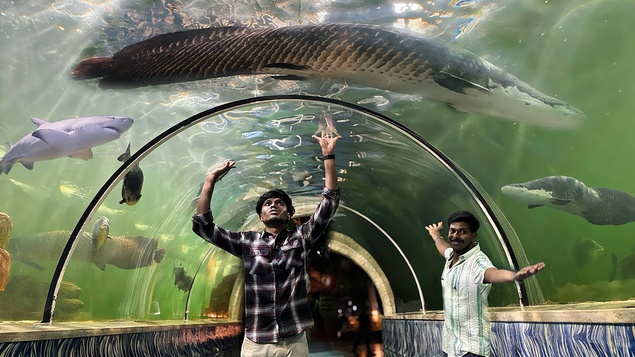 GIANT MONSTERS🤯Floating Over My Head🥶 Under water🌊/JENISH KJ
