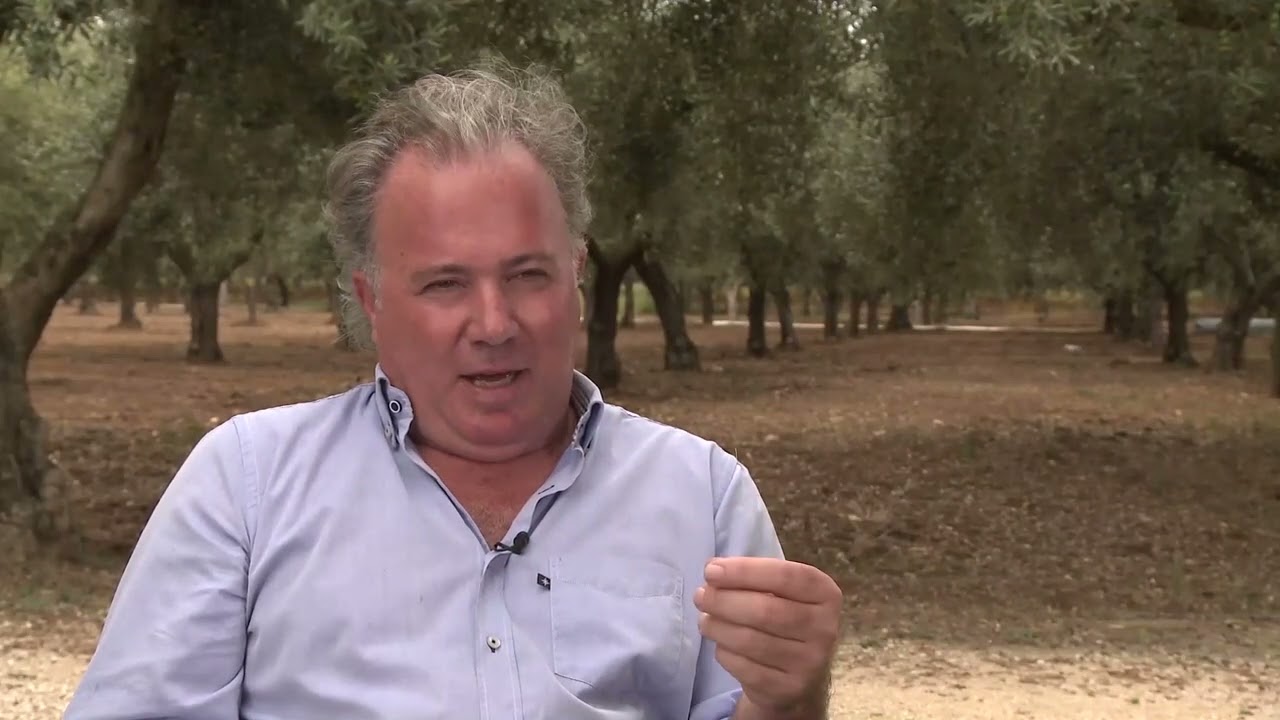 Sciacca - priča o maslinovom ulju - autor Blažo Popović - insert iz emisije Bez aranžmana