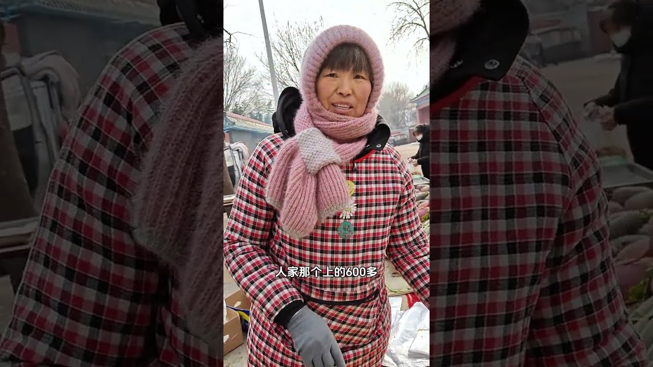 I just picked 320 jin of Caixia fruit radishes which are crisp and refreshing. I bought 4