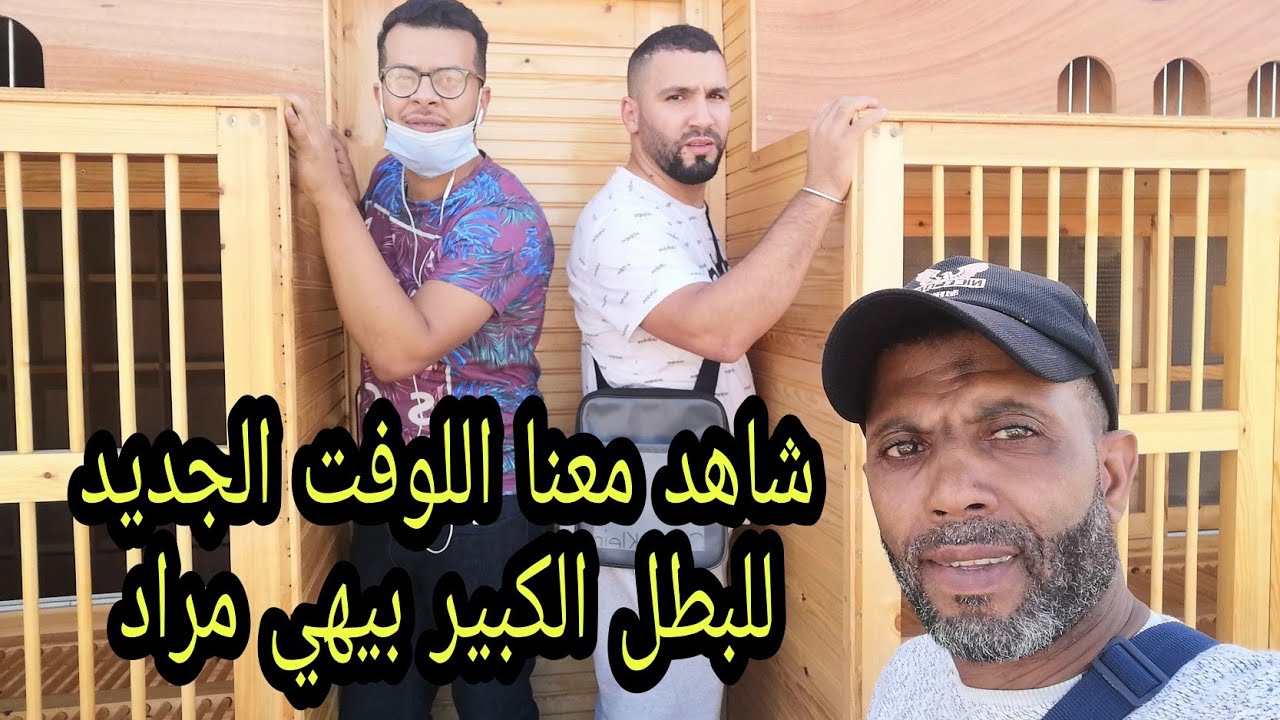 شاهدو معنا اللوفت الجديد للبطل الكبير مراد بيهي