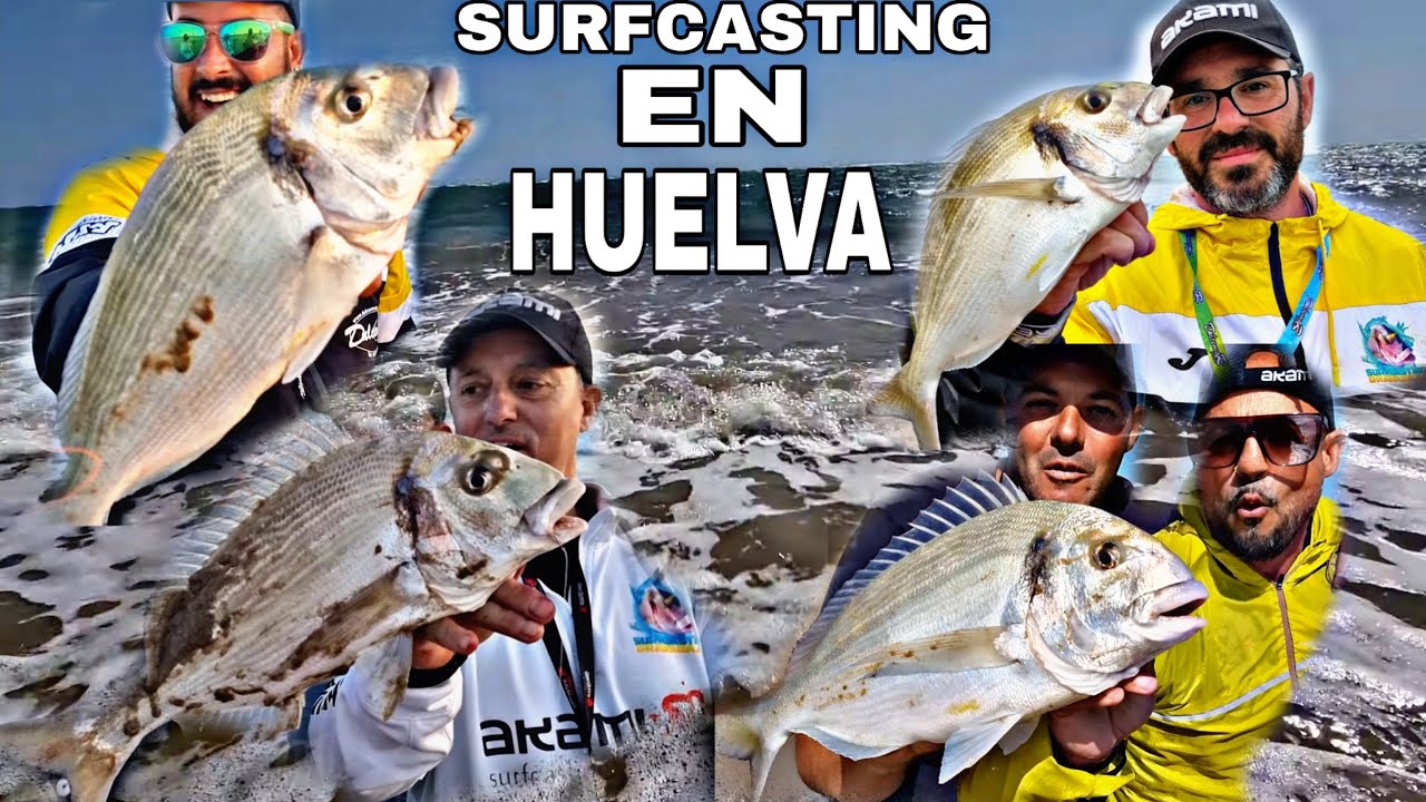 1/2 DORADAS EN HUELVA, PESCA SURFCASTING EN EL ATLÁNTICO. SURFCASTING GRANADA