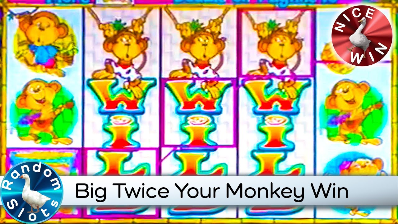 Twice Your Monkey Slot Machine Big Win