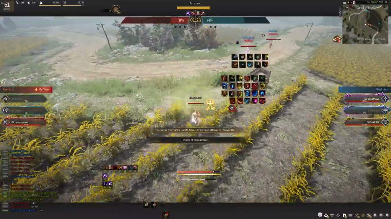 Black Desert Arena of Solare - Succession Mystic 1v3 on EU