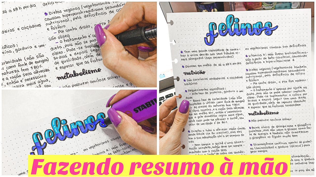 STUDY VLOG | Fazendo um RESUMO à MÃO do zero