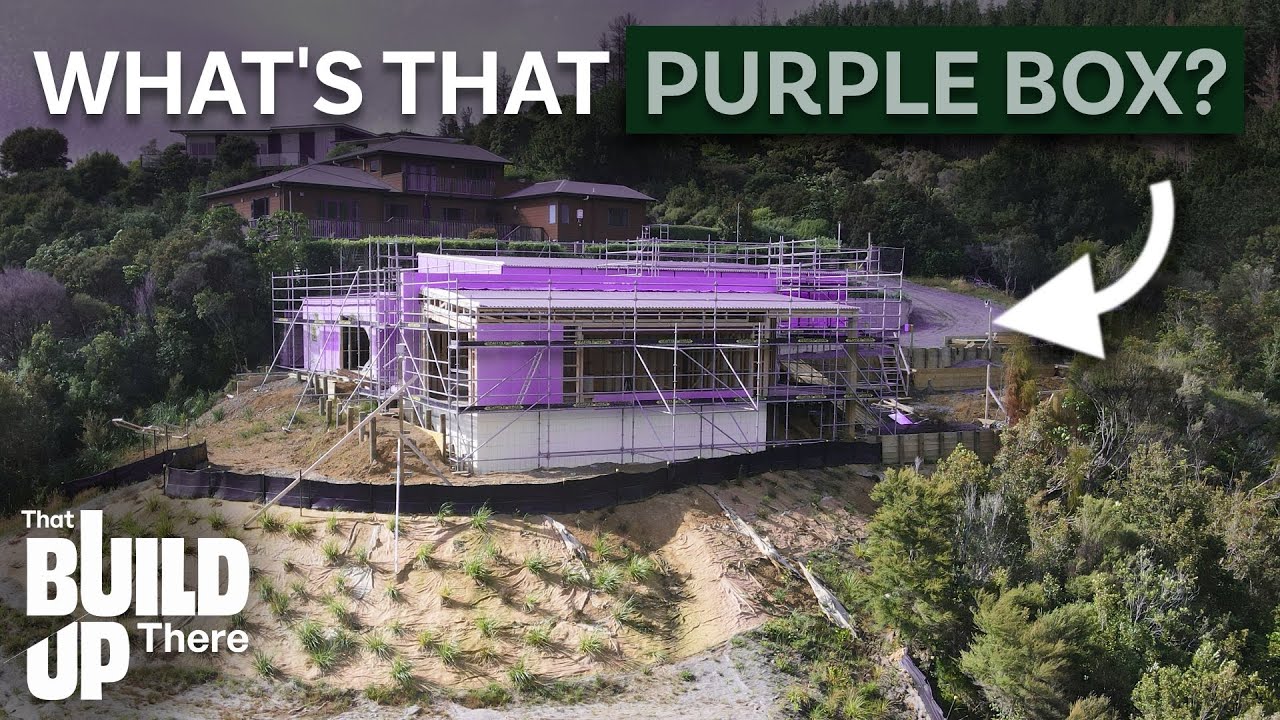 This House Is Purple (And Why It Matters)