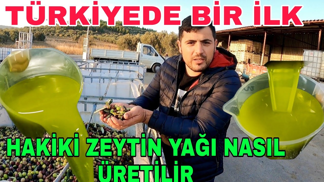 HAKİKİ ZEYTİN YAĞI NASIL ÜRETİLİR?TÜRKİYE'DE BİR İLKİ ANLATTIYORUZ.