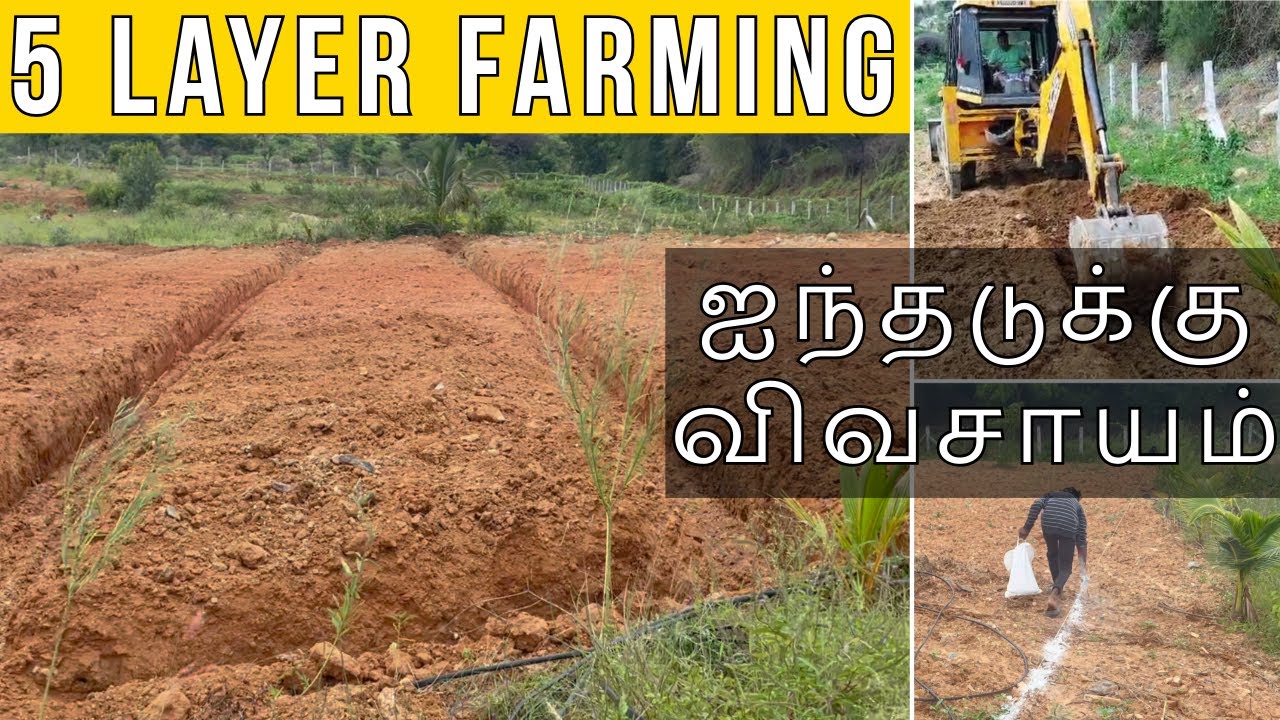 Natural Farming | 5 Layer Farming | 5 அடுக்கு விவசாயம் | #naturefarming @visyuthifarms