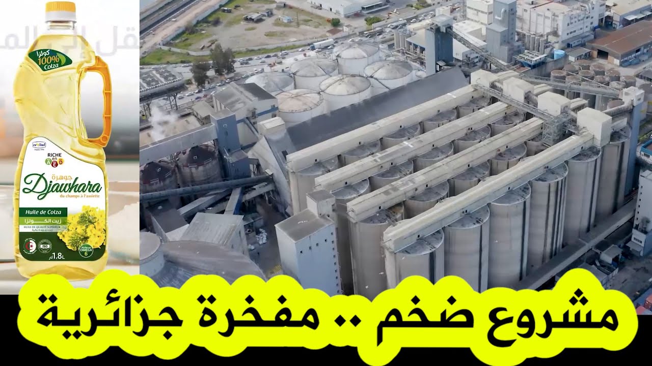 شاهدوا كل شيء عن المشروع الضخم لسيفيتال في بجاية.. مصنع سحق البذور الزيتية.. مفخرة جزائرية بامتياز