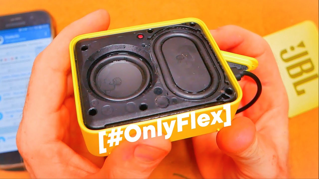 iCE JBL GO 2 [#OnlyFlex]
