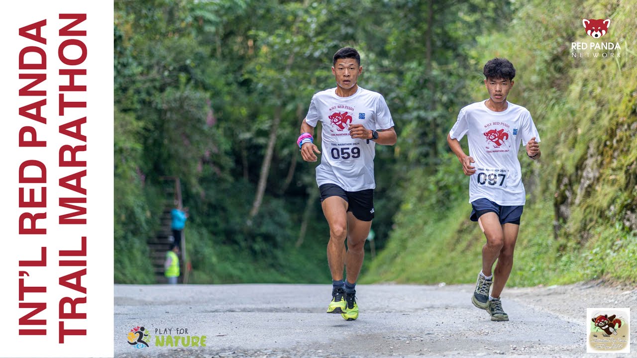 INTERNATIONAL RED PANDA DAY | TRAIL MARATHON | 48 KM | TAPLEJUNG NEPAL