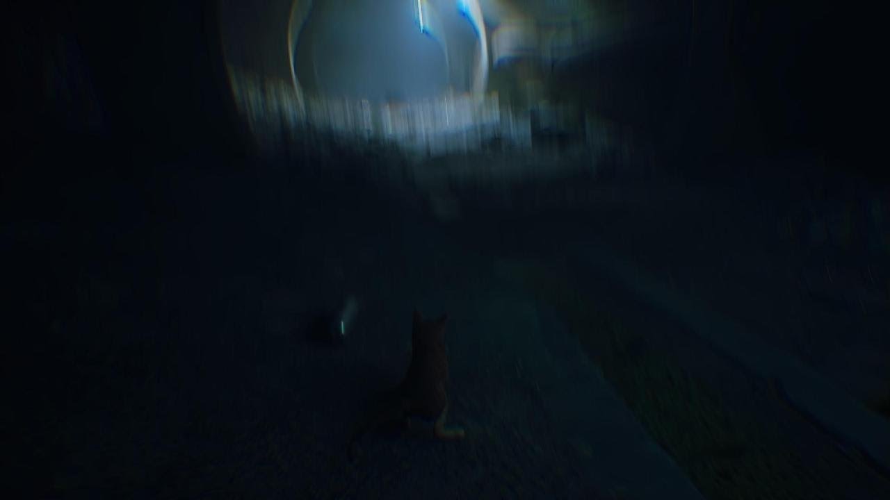 Stray