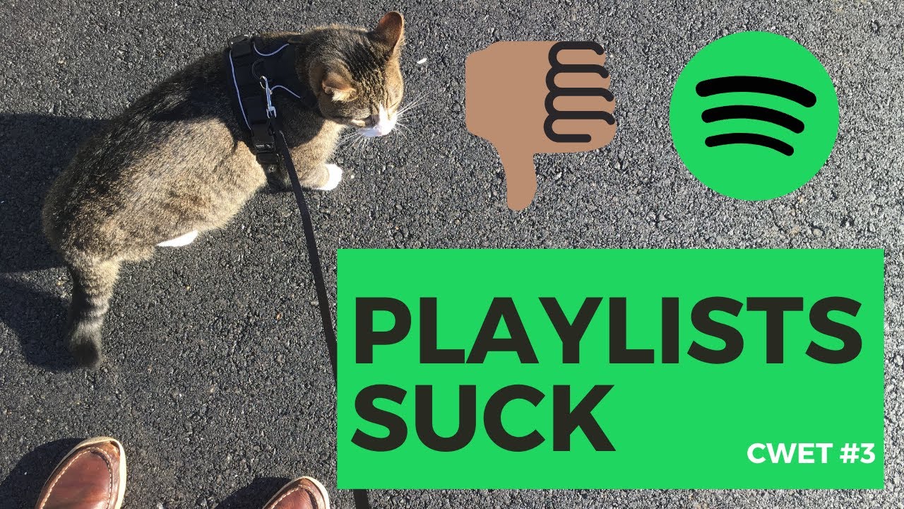 Why Spotify Playlist Promotion Sucks (Cat Walks and EDM Talks No. 3)