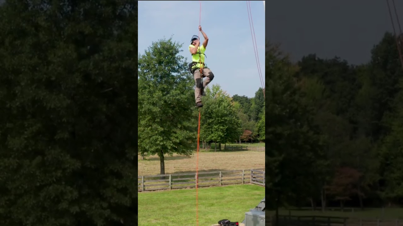 Hunter&rsquo;s Climbing and Ascending Skills! 🧗#arborist #treework #short #shorts