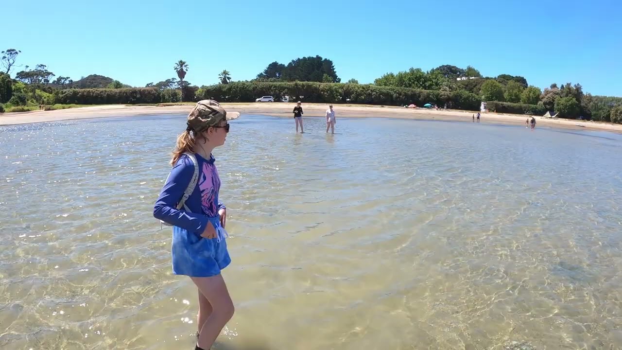 2021 xmas holiday Treasure Island