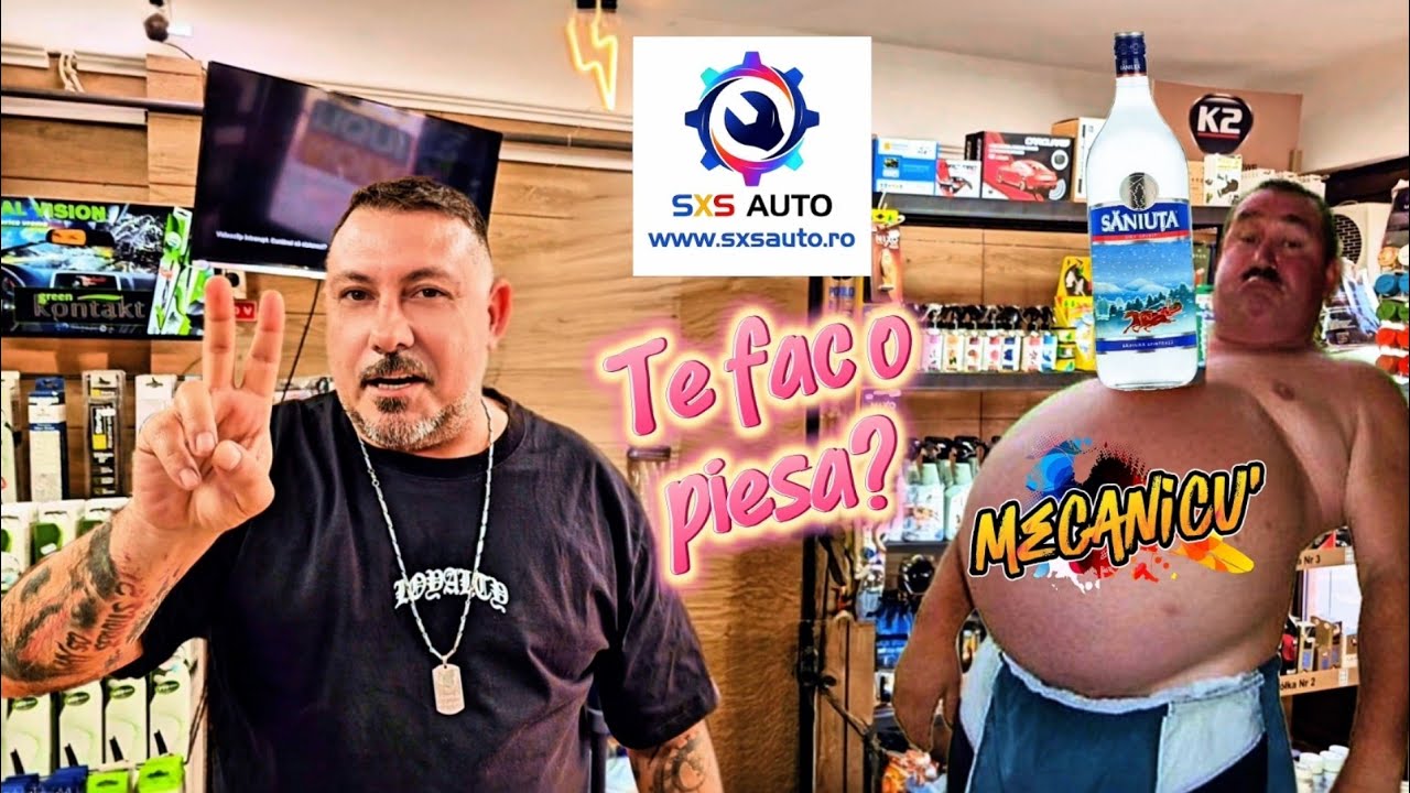 Magazinele de Piese Auto și Mecanicii de Coltul Străzii. #viral #business #sxsauto