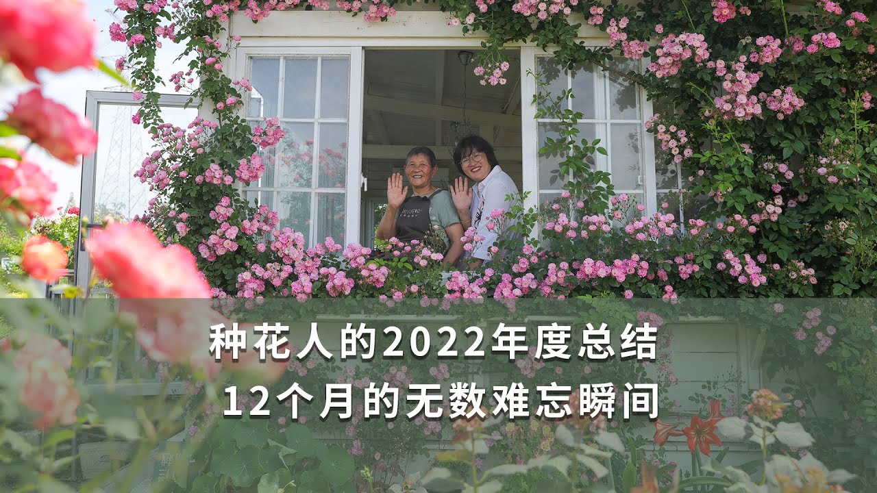 種花人的2022年度總結，12個月的無數難忘瞬間 | 2022年總結