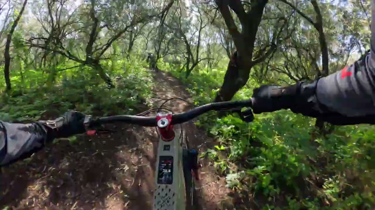 Monsanto pela primeira vez! 🚵‍♂️ | Com os E-Bikeaholics