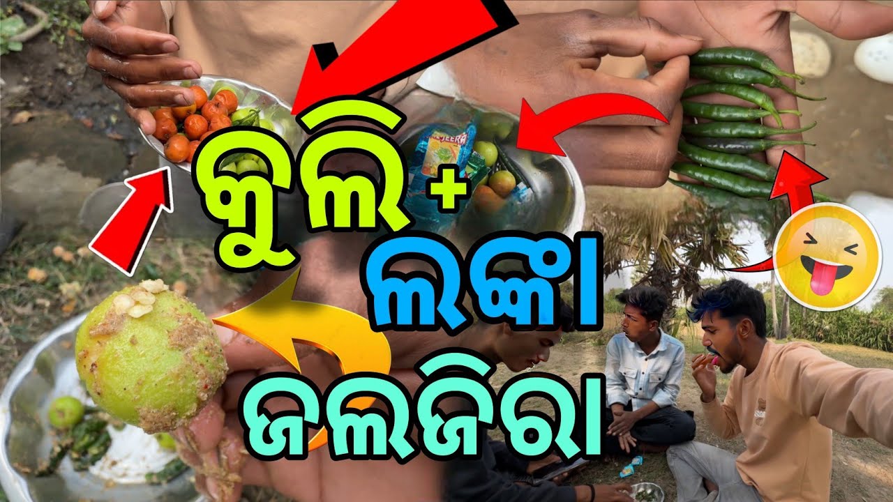 କୁଲି + ଲଙ୍କା + ଜଲଜିରା Tasty ଫିଷ୍ଟୀ 🤤😋 | Ama Gaon Ra Zabardast Swad Experience 🔥