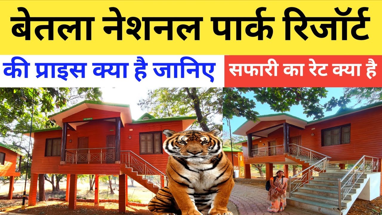 बेतला नेशनल पार्क रिजॉर्ट के प्राइस क्या है💁|| Betla National Park Palamu 2026 explore Vlogs 
