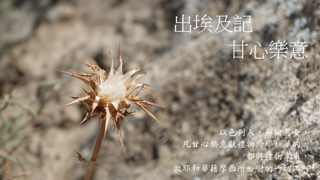 靈修:出埃及記-甘心樂意 20260224 (潮語讀經版)