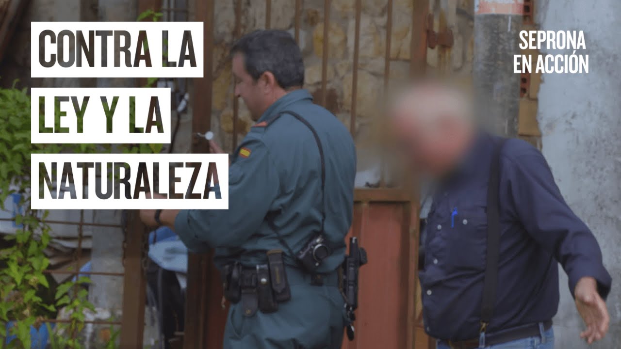 Talleres ilegales, una lacra para el medioambiente | Seprona en acción