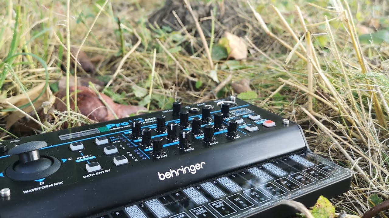 Ambient on the Grass |Behringer Pro vs mini |