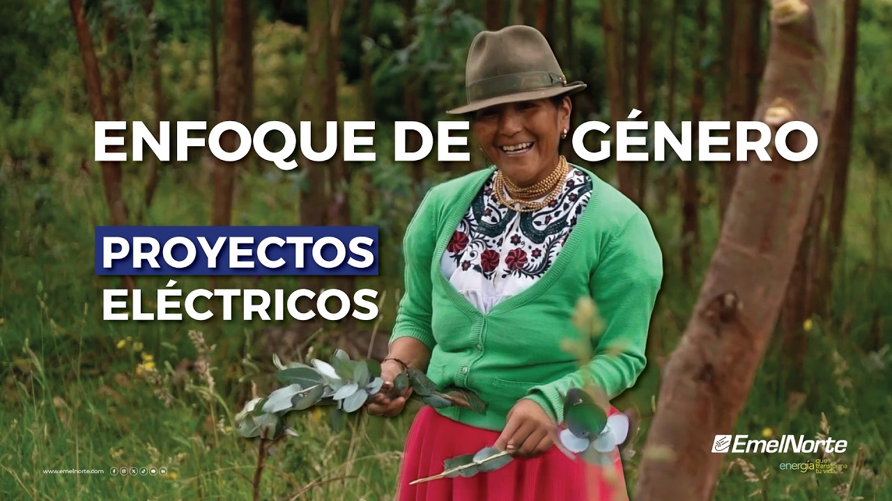 Resultados del Enfoque de Género en Proyectos Eléctricos