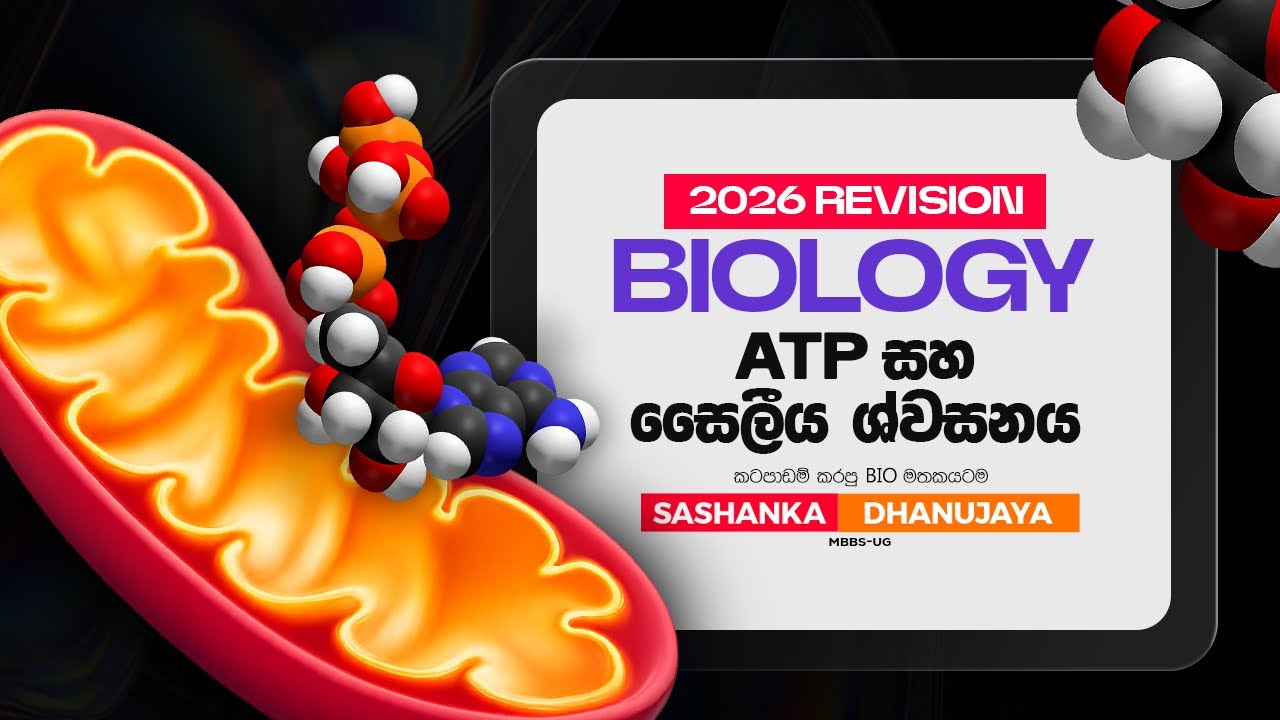 ATP හා සෛලීය ශ්වසනය | 2026 Biology Revision | Day 03