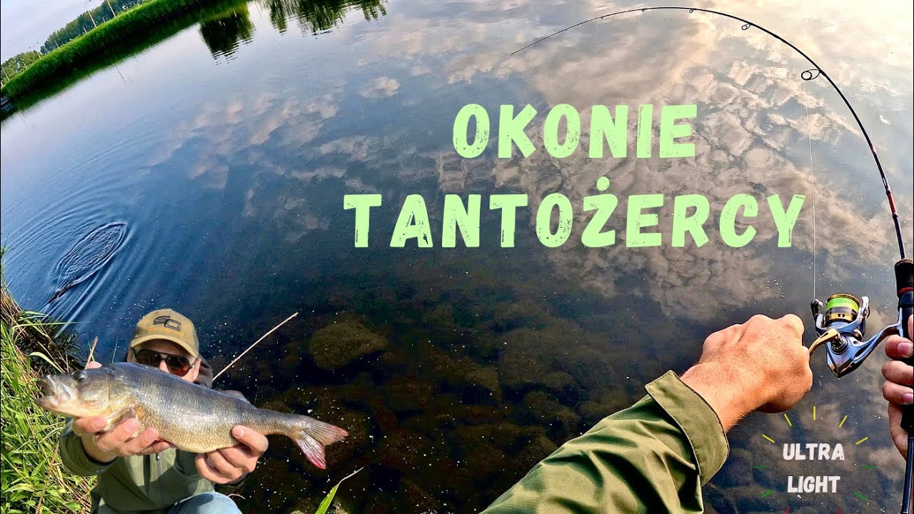 Okonie TANTOŻERCY! CZY UDA MI SIĘ DOBRAĆ DO 40+??! OKOŃ NA UltraLight