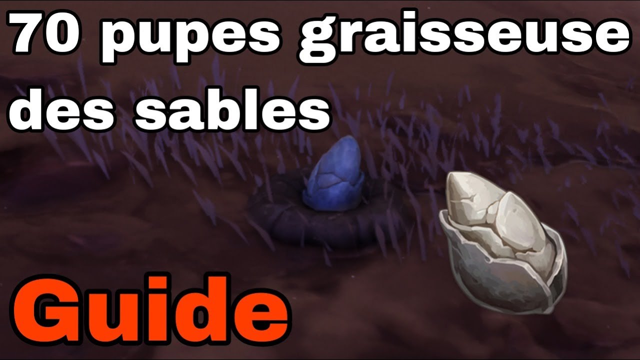 70 PUPES GRAISSEUSE des SABLES (pour Alhaitham) Guide Genshin Impact FR