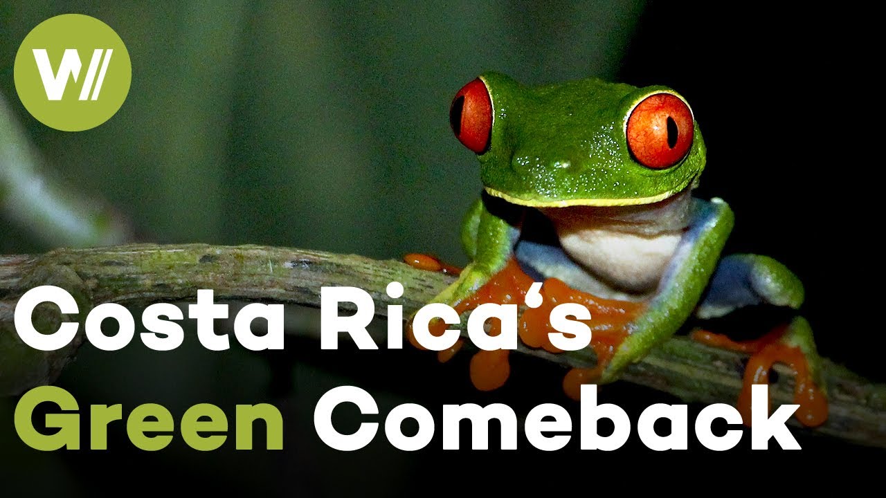 Costa Rica's Operation Tropical Forest - The Rebirth of a Lost Paradise | Metamorphoses (2/5)