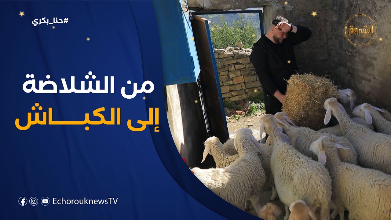 حنا بكري | الصديق أوخليف يعمل بأوامر الجد .. غرس الشلاضة ووّكل الكباش