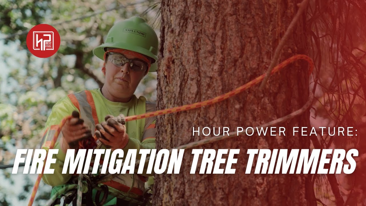 Feature: Fire Mitigation Tree Trimmers