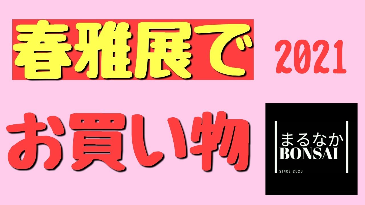 #31  【ミニ盆栽】春雅展でお買い物。色々買いましたよー！