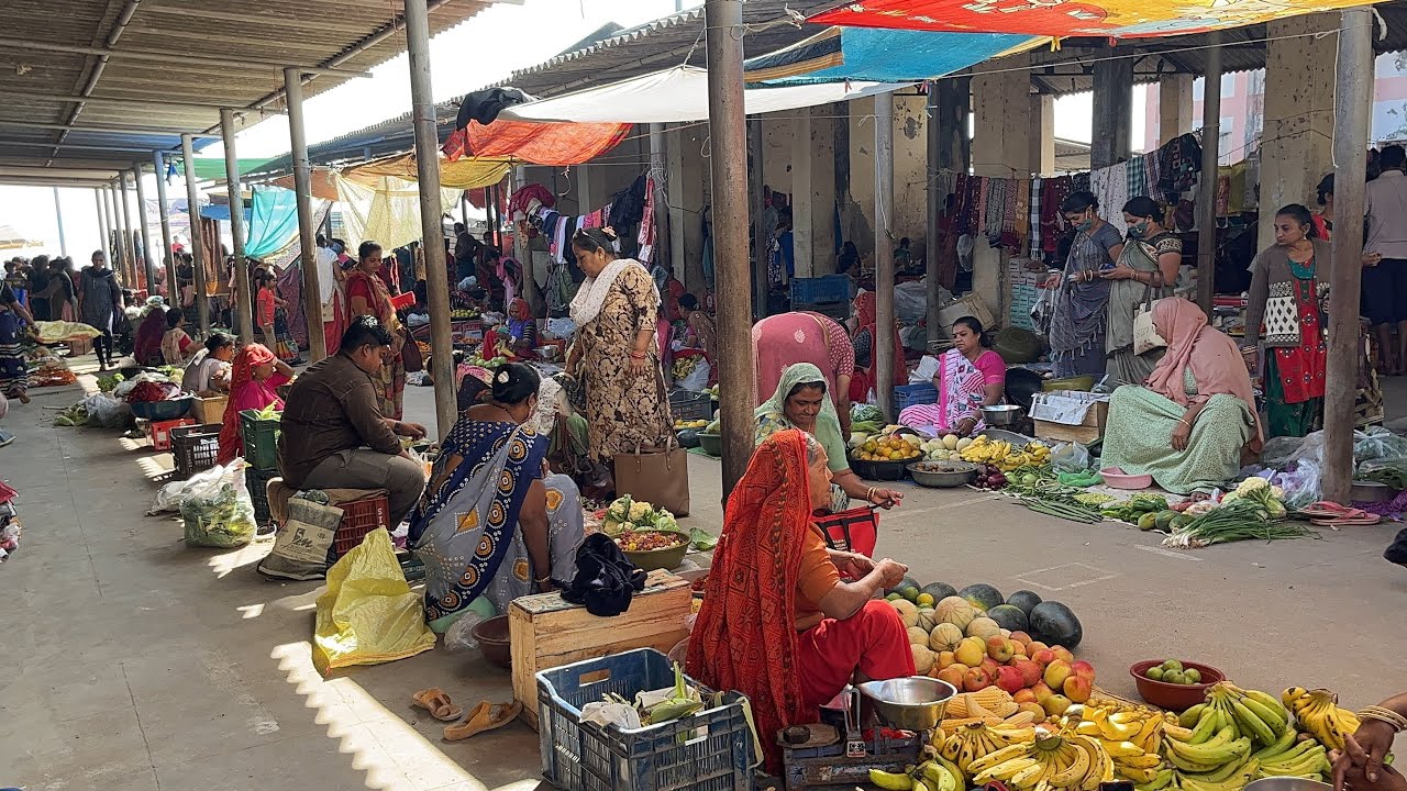 Diu Ghoghla ni Vegetable and Fish Market nu Auction. #news #shakilkashmani #yesdiusamachar