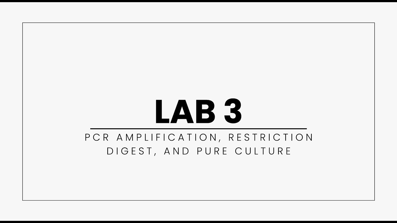 Lab 3: PCR Visualization, Restriction Digest, and Pure Culture