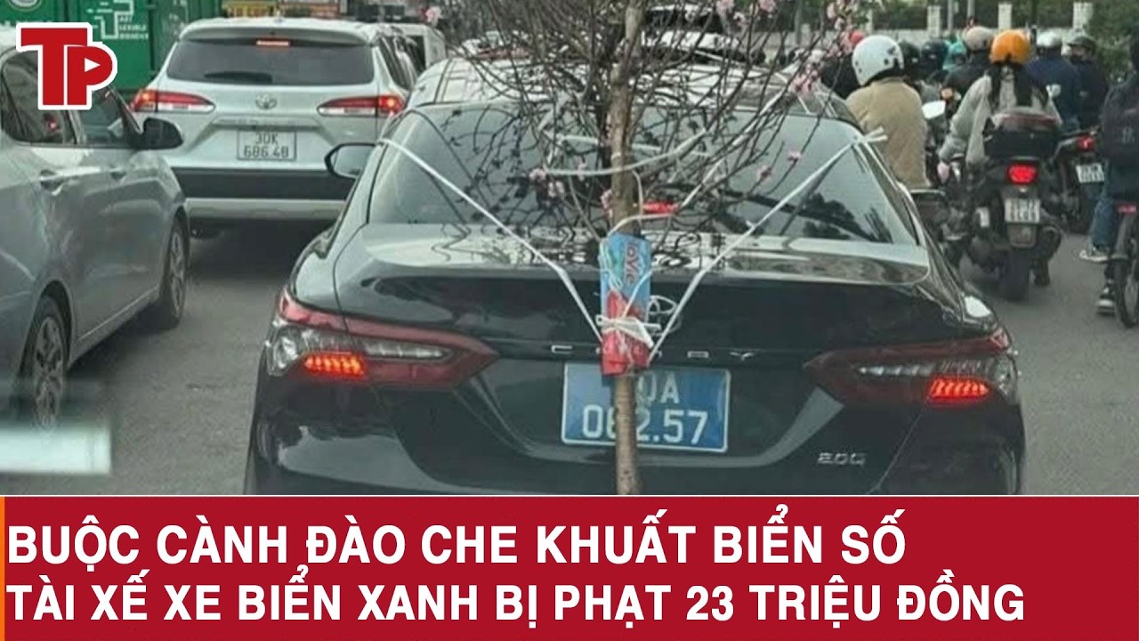 Buộc cành đào che khuất biển số, tài xế xe biển xanh bị phạt 23 triệu đồng