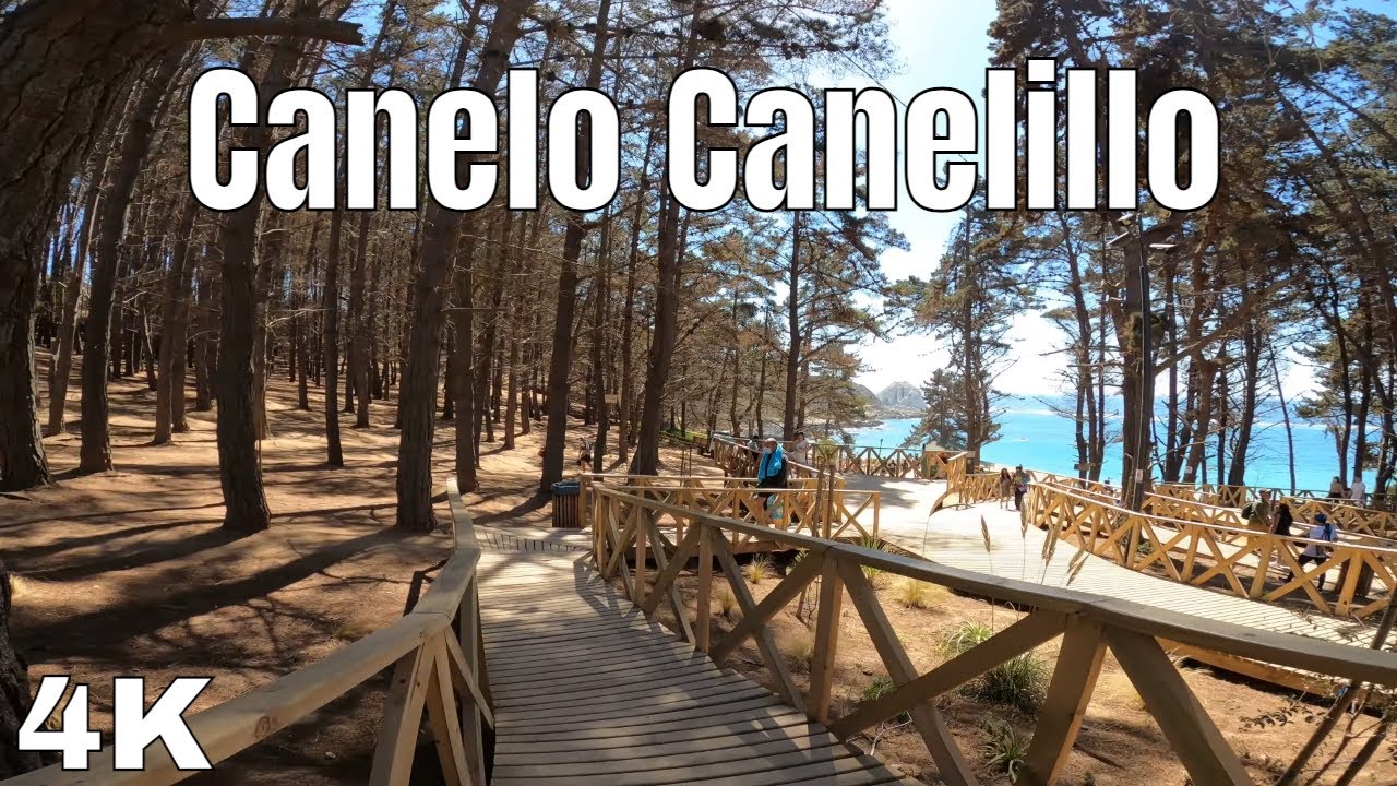 Playa Canelo Canelillo, Algarrobo